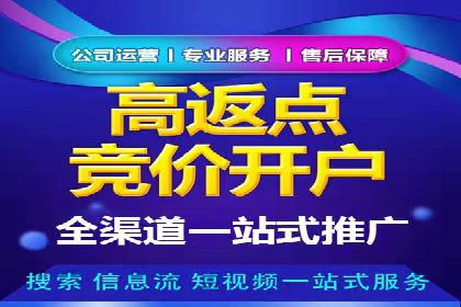 百度推广代运营公司：打造高效的网络营销团队